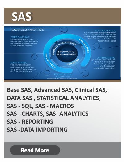 SAS (Base/ Advanced) course 
